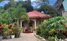 Island Bungalow